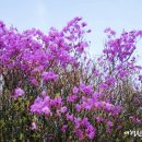 영취산봉수 이미지