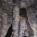 세계자연유산센터 이미지