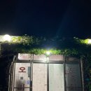 동백수산 이미지