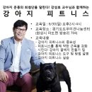 반려동물 전문가 초청 세미나-6월 30일(일요일) 오후 2시~4시-강아지 피트니스 이미지