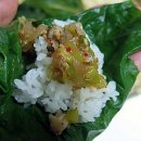조  치 이미지