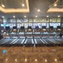 더바디짐 이미지