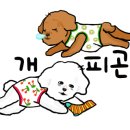 슈슈댕 네이버블로그