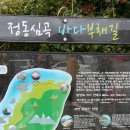 2017년 8월 제83차 정기산행 (강릉) 바다부채길+옥계해수욕장 이미지