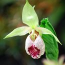 죽엽산농장 이미지