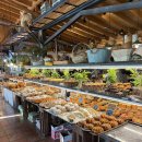 동백중학교 앞(과일킹 앞) | 파주카페추천, 파주 베이커리카페 버터킹빵공장 두바이초콜릿쿠키 내돈내산 솔직후기