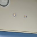 센텀애견샵 이미지