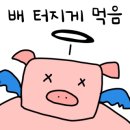 이차돌광주 이미지