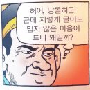 드디어 화보 촬영한 땡절스(땡깡&진절미) 이미지