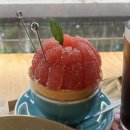 나무들의 수다 | 원주 수다 카페 재재재방문 후기. 귀리빙수,꿀자몽 메뉴추천