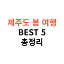 제주야놀자 민박 | 제주도 봄 여행 코스 BEST5, 가성비 있는 여행 코스 총정리