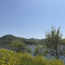 붕어섬 식당 | 임실 붕어섬 생태공원, 옥정호 요산공원 - 주차, 방문 세세후기