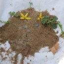 갈원초교 병설유치원 이미지