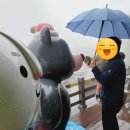 안골목장 네이버블로그