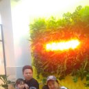 더 가득한 패밀리 레스토랑 이미지