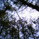 자연으로(의) 회귀 이미지