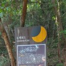 문탠로드 이미지