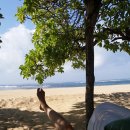 보헤미안 블루 이미지