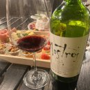 스테이하몽 이미지