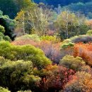 비밀의 정원 이미지