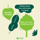 하루산책 이미지