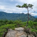 황정산 Daum카페
