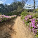 생활권11 이미지