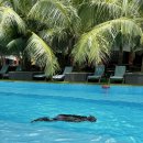 해로모텔 이미지