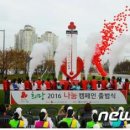 철원군청 주민생활지원과 이미지