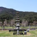 보령-웅천-89 | 보령 성주사지(保寧 聖住寺址)