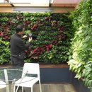 수직의 정원 이미지