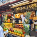 리라약국 | 가이드가 직접 알려주는 터키(튀르키예) 여행 완전 꿀팁 10가지 (자유여행/패키지여행) :: 터키 여행...