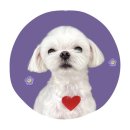 하얀이언니네 이미지