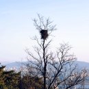 시와 이야기로 소통하기 이미지