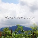 자연캘리그라피