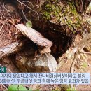 달빛농장 이미지