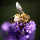 사가정한의원 이미지