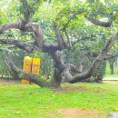 성환농업협동조합 이미지