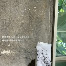 나만의 커스텀 쥬얼리 만들기 | [서울 성수] 주말 성수 시로 SHIRO 나만의 향수 만들기 커스텀 내돈내산 체험 후기