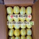 세일농장1 이미지