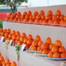 악양 평사리길 이미지