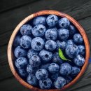 티피컬짐 이미지