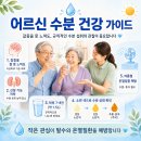 건강가이드