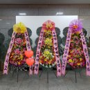 D+158~160 한국에서 곱창 먹고 마라탕 먹고 성신여대 졸전 갔다가 서가앤쿡도 감