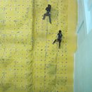 송도스포츠센터 이미지