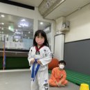 초은 스탈릿 백호 태권도장 이미지