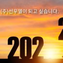 주식회사 선우 티스토리
