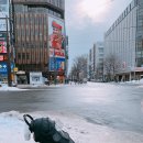퍼프.아케이드커피 | [2019년 1월 삿포로 여행 - Prologue] 원없이 눈 구경 할 수 있었던 진정한 겨울 왕국 삿포로...