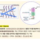 미량 경로당 | 콘드로이친 1200 관절 관리 주요성분 비교 솔직한 후기