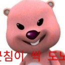 광명대창집여수 - 6682 | 광명대창집여수
